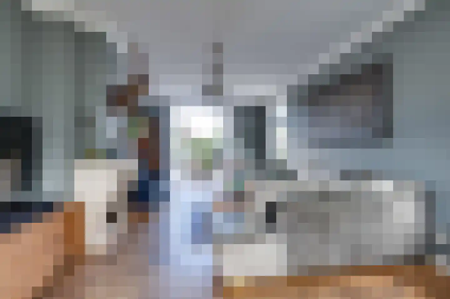 Jozefdreef 15 Oude-Tonge thumbnail 19