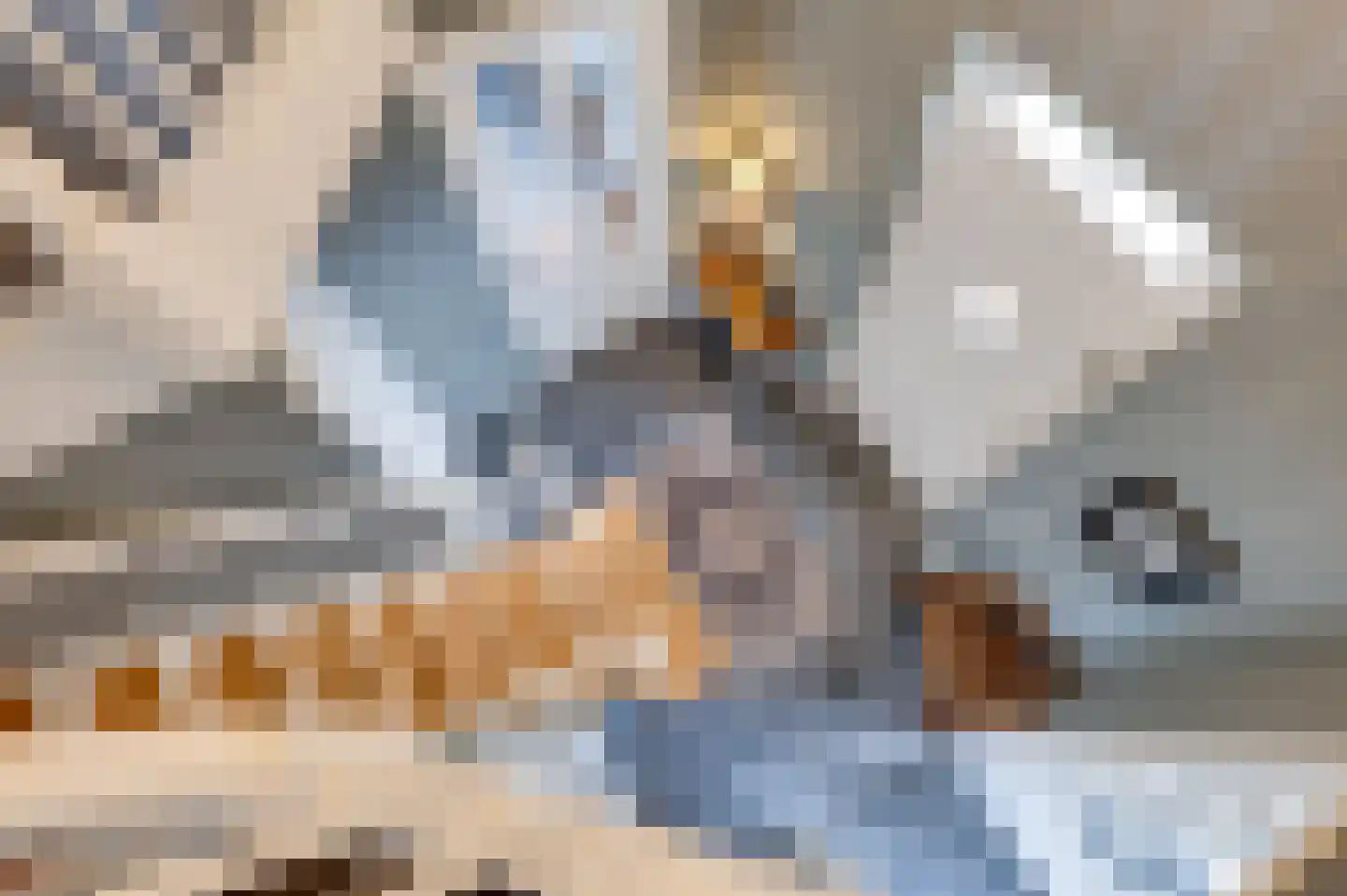 Jozefdreef 15 Oude-Tonge thumbnail 47