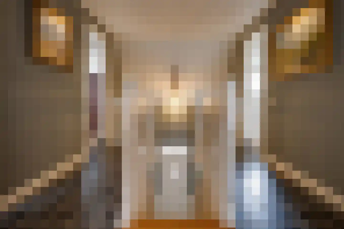 Jozefdreef 15 Oude-Tonge thumbnail 48