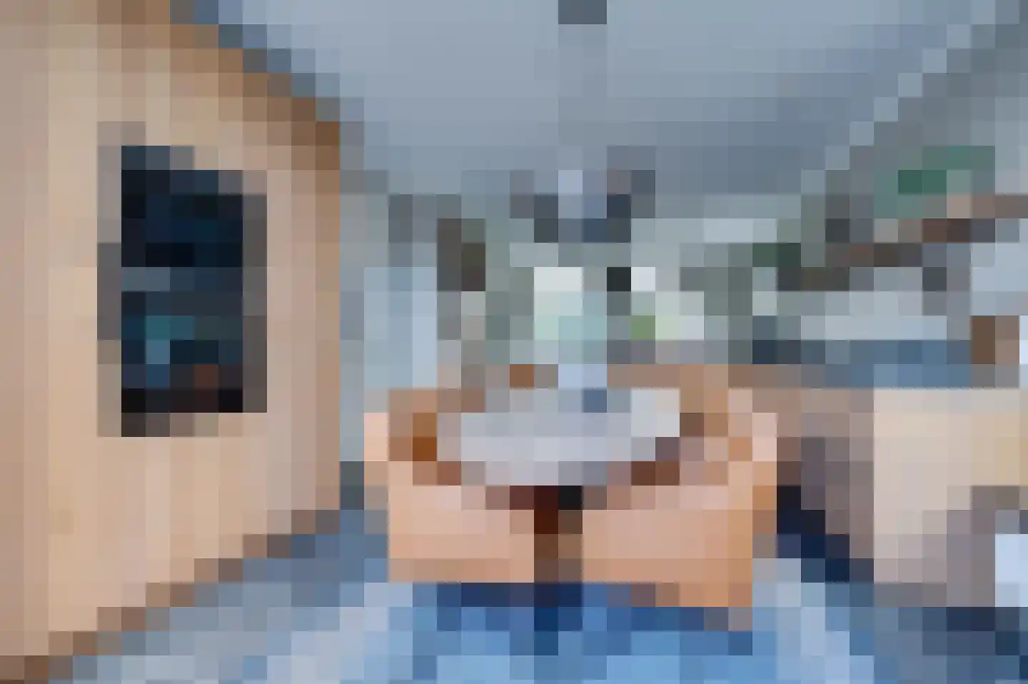 Jozefdreef 15 Oude-Tonge thumbnail 5
