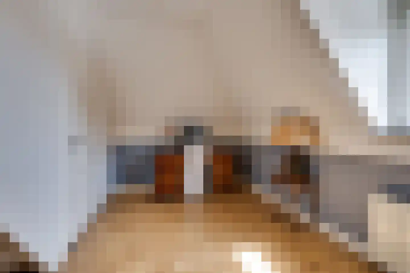 Jozefdreef 15 Oude-Tonge thumbnail 55