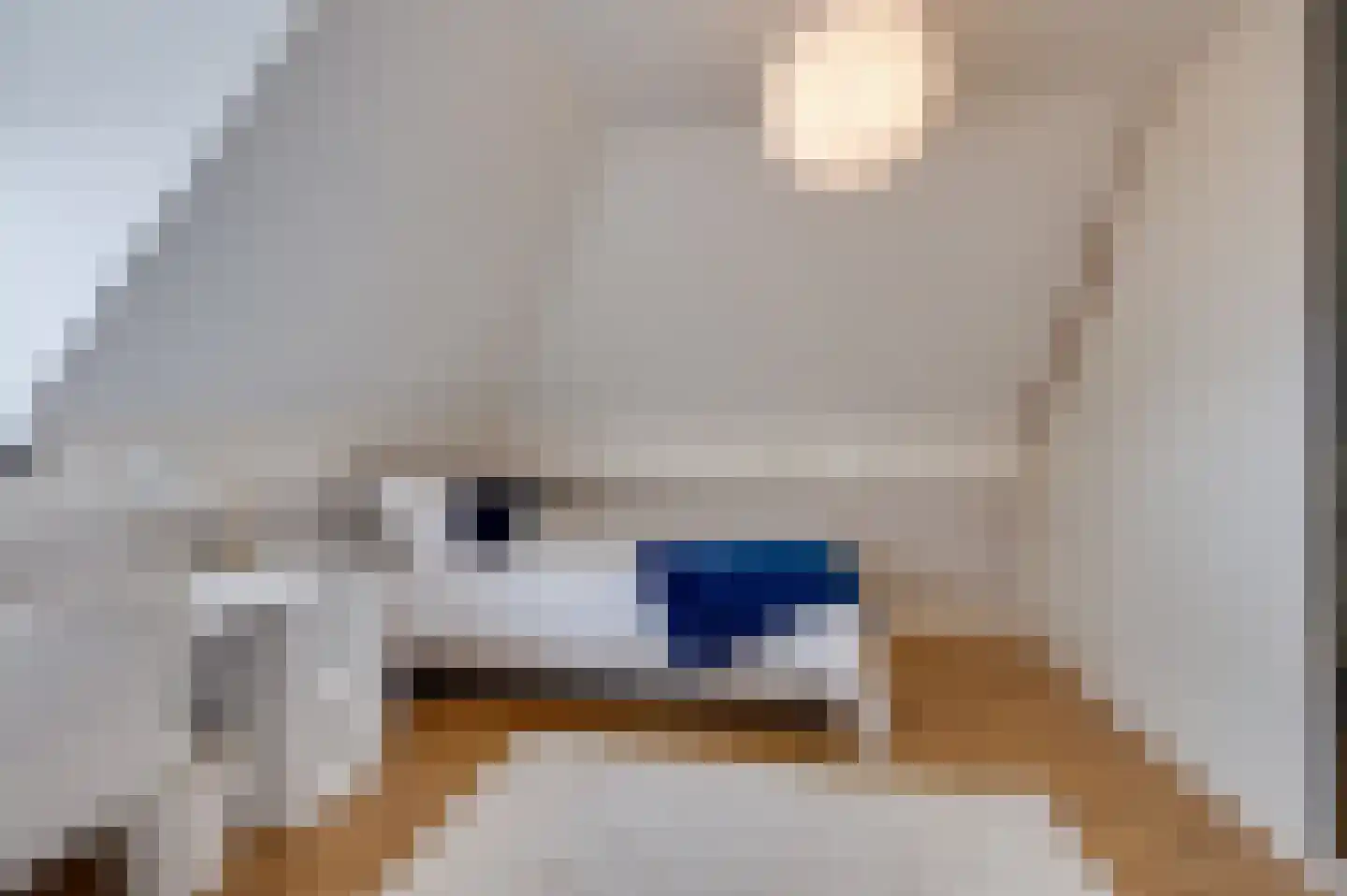 Jozefdreef 15 Oude-Tonge thumbnail 58