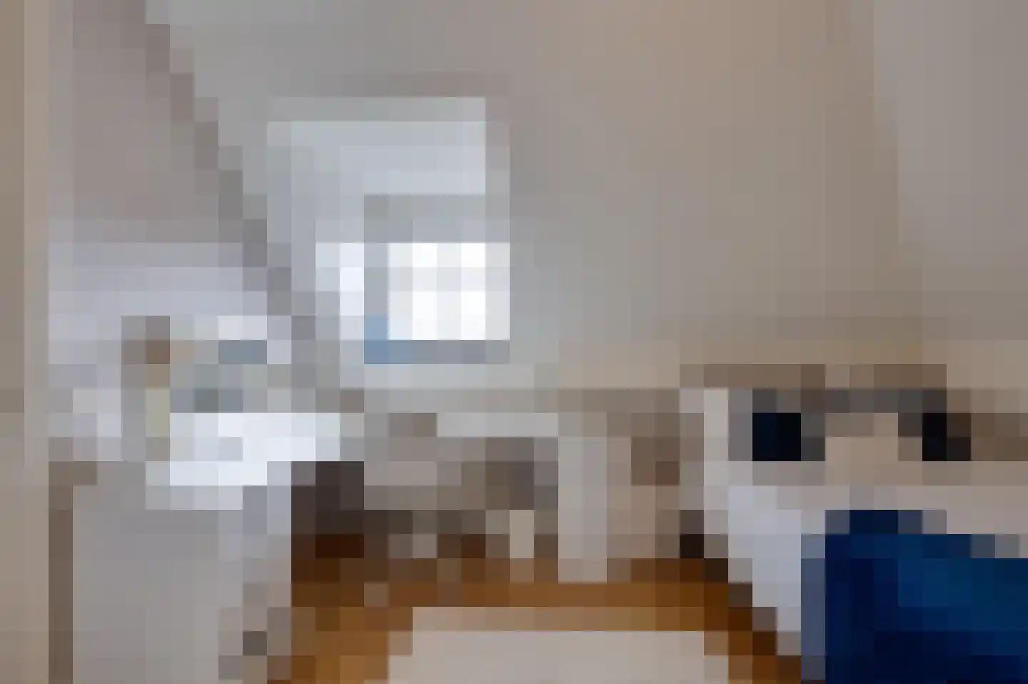 Jozefdreef 15 Oude-Tonge thumbnail 59