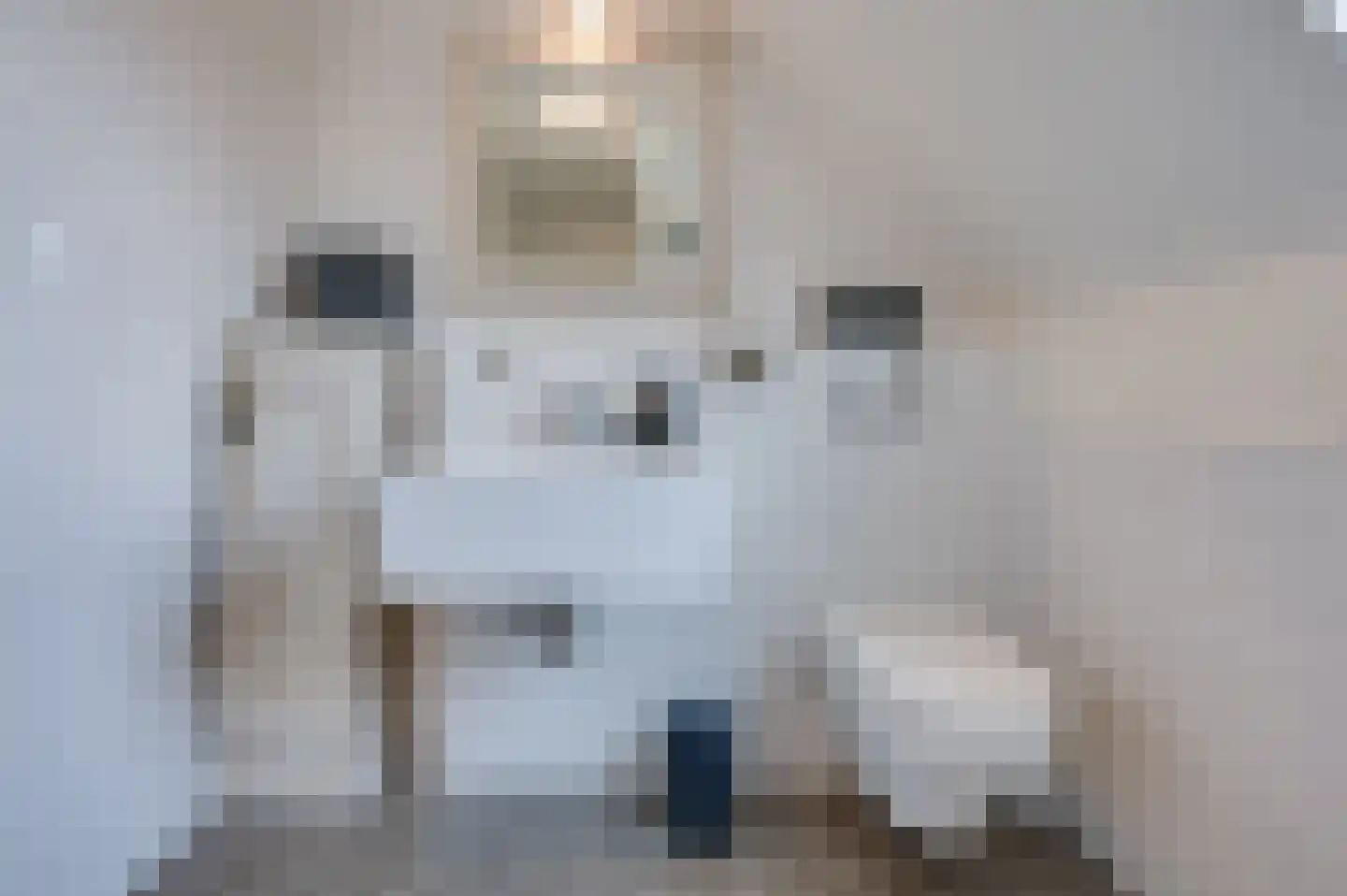 Jozefdreef 15 Oude-Tonge thumbnail 66