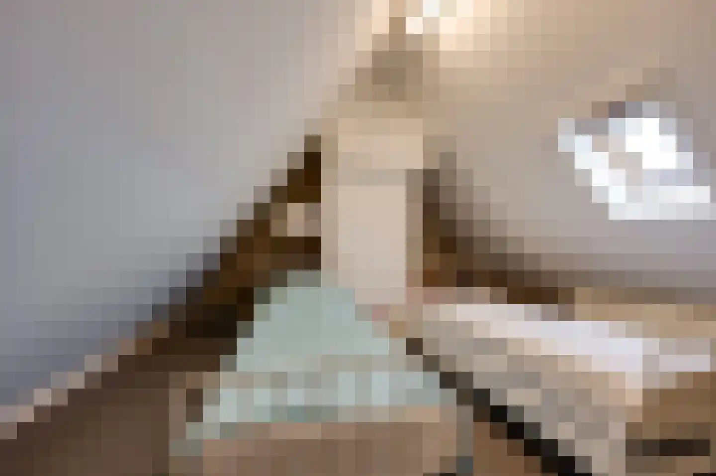 Jozefdreef 15 Oude-Tonge thumbnail 68