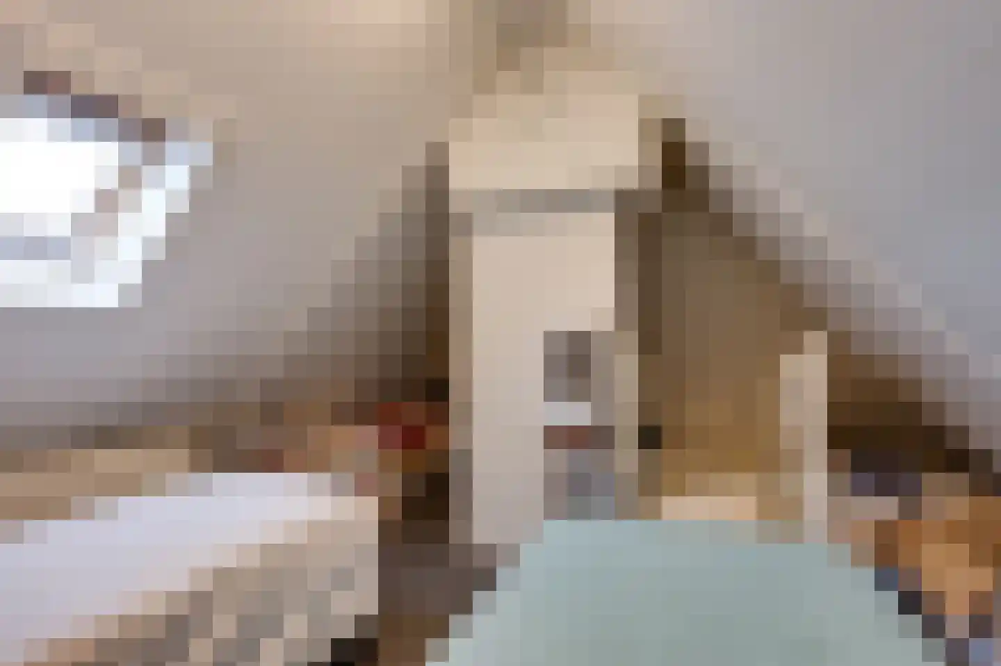 Jozefdreef 15 Oude-Tonge thumbnail 69
