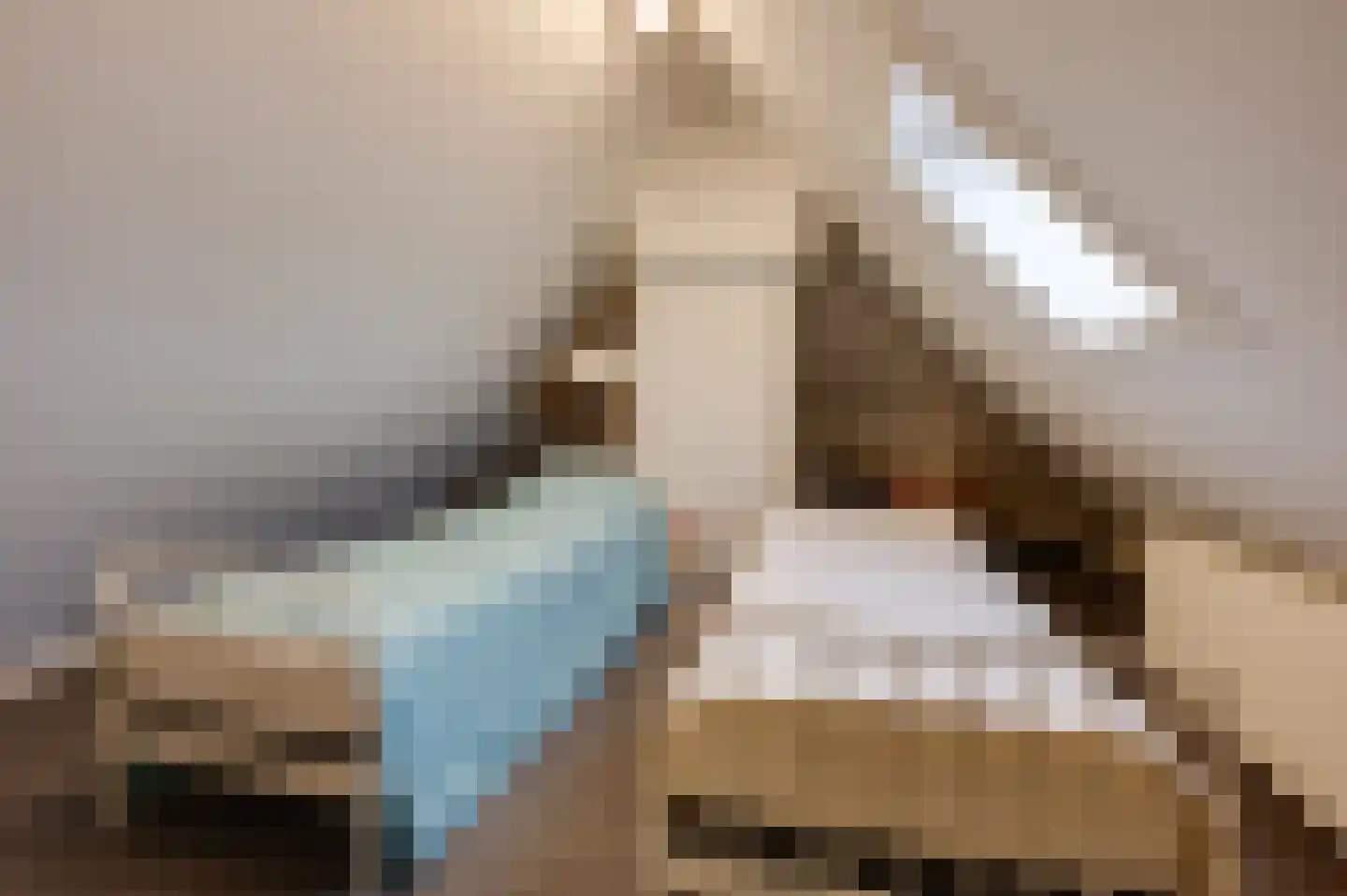 Jozefdreef 15 Oude-Tonge thumbnail 70
