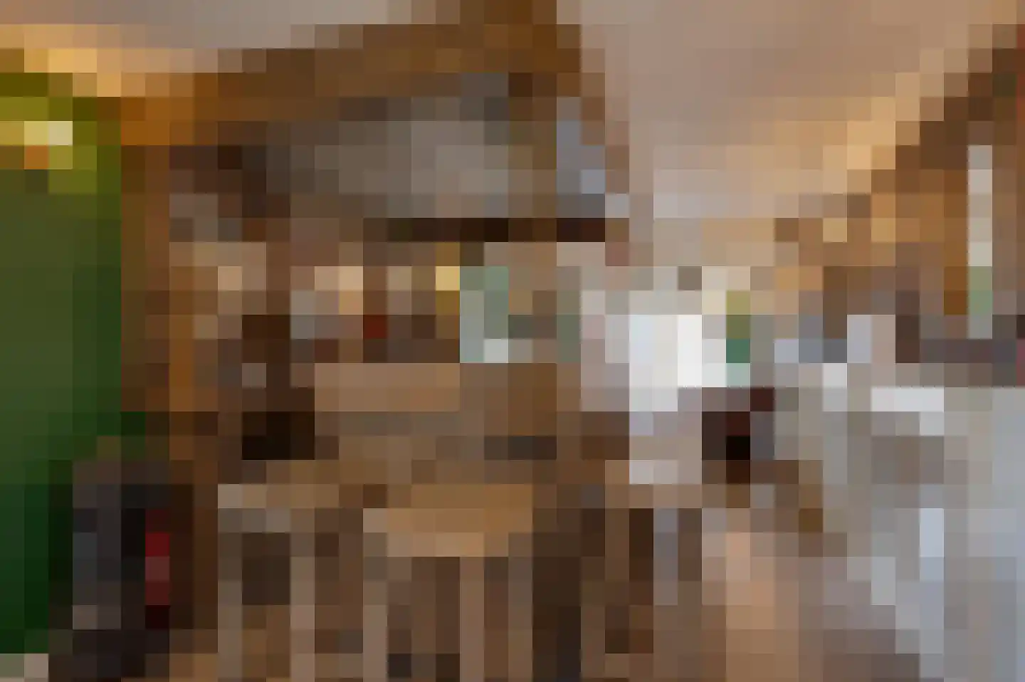 Jozefdreef 15 Oude-Tonge thumbnail 73