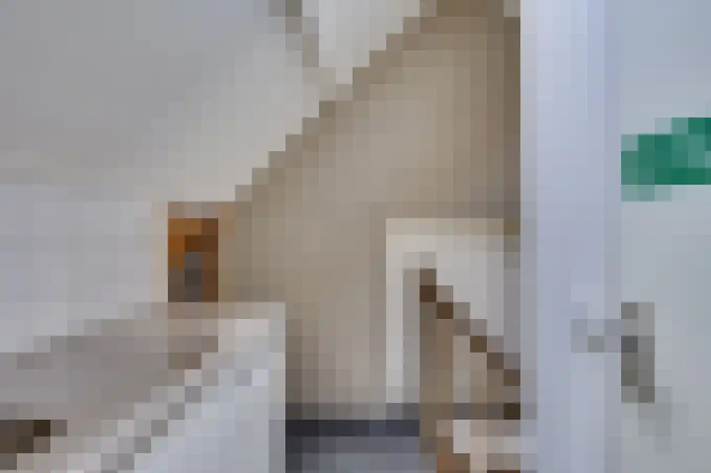 Jozefdreef 15 Oude-Tonge thumbnail 76