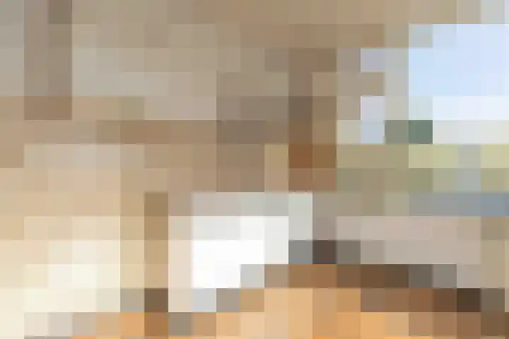 Jozefdreef 17 Oude-Tonge thumbnail 12