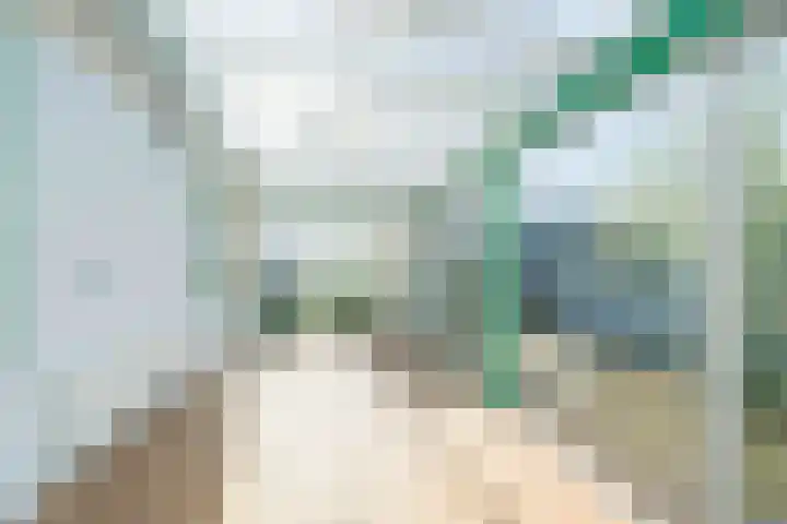 Jozefdreef 17 Oude-Tonge thumbnail 19