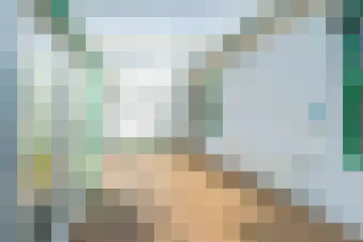 Jozefdreef 17 Oude-Tonge thumbnail 20