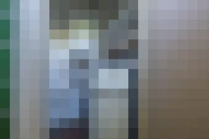 Jozefdreef 17 Oude-Tonge thumbnail 26