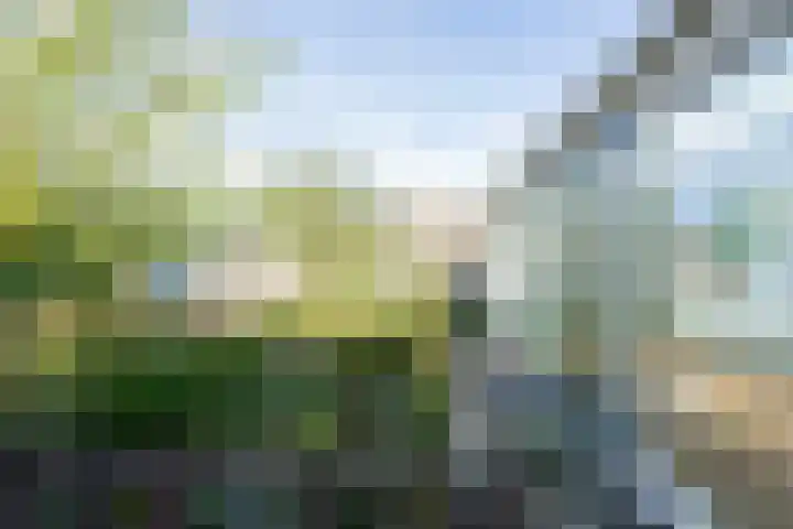 Jozefdreef 17 Oude-Tonge thumbnail 28