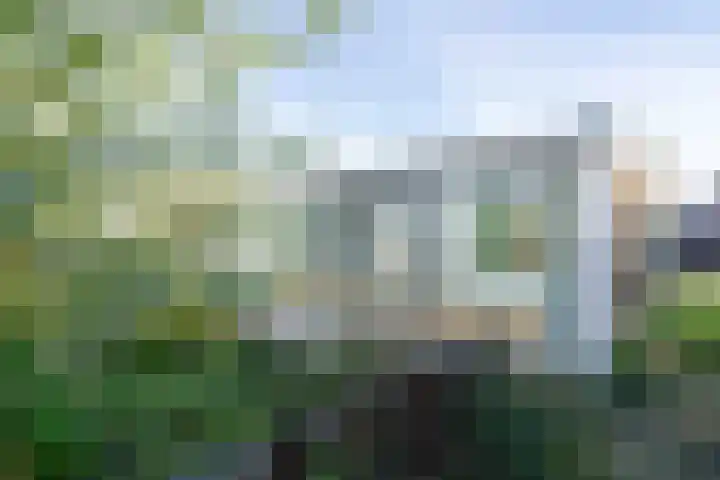 Jozefdreef 17 Oude-Tonge thumbnail 29