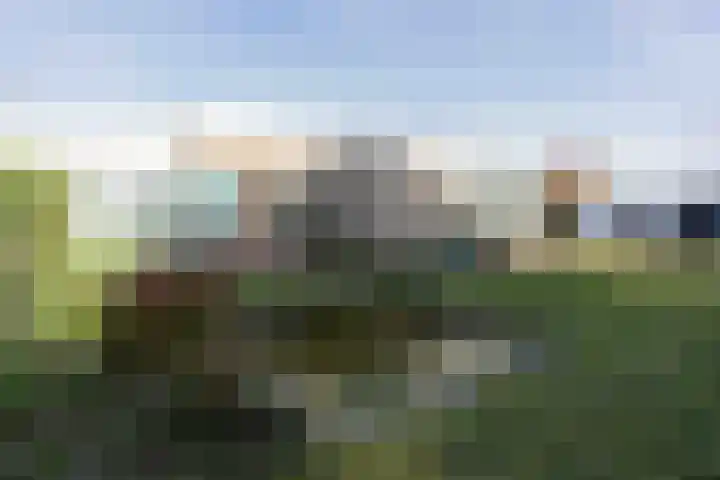 Jozefdreef 17 Oude-Tonge thumbnail 30