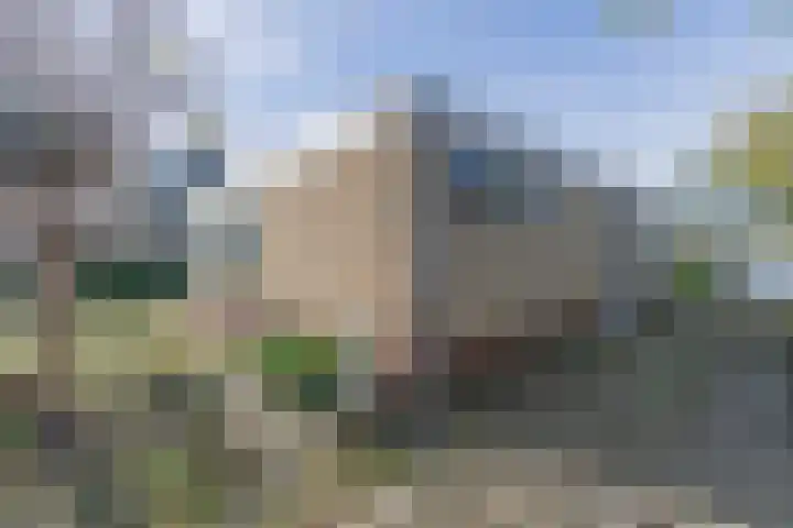Jozefdreef 17 Oude-Tonge thumbnail 32