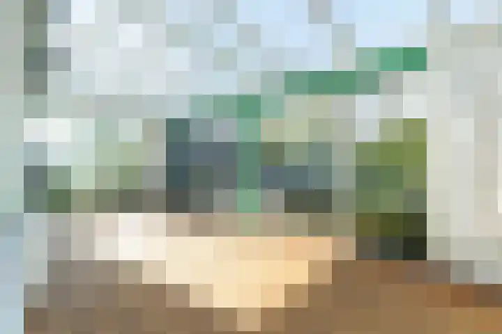 Jozefdreef 17 Oude-Tonge thumbnail 7