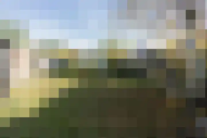 Jozefdreef 17 Oude-Tonge thumbnail 9