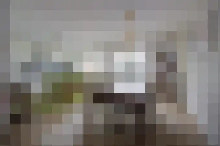 Jozefhof 10 Etten-Leur thumbnail 11