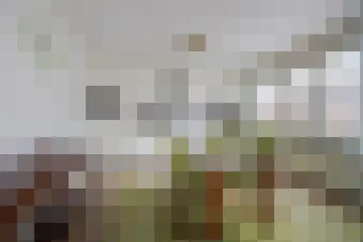 Jozefhof 10 Etten-Leur thumbnail 12