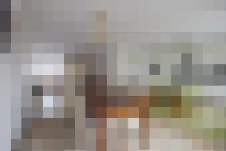 Jozefhof 10 Etten-Leur thumbnail 13