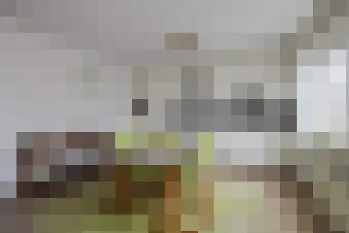 Jozefhof 10 Etten-Leur thumbnail 14