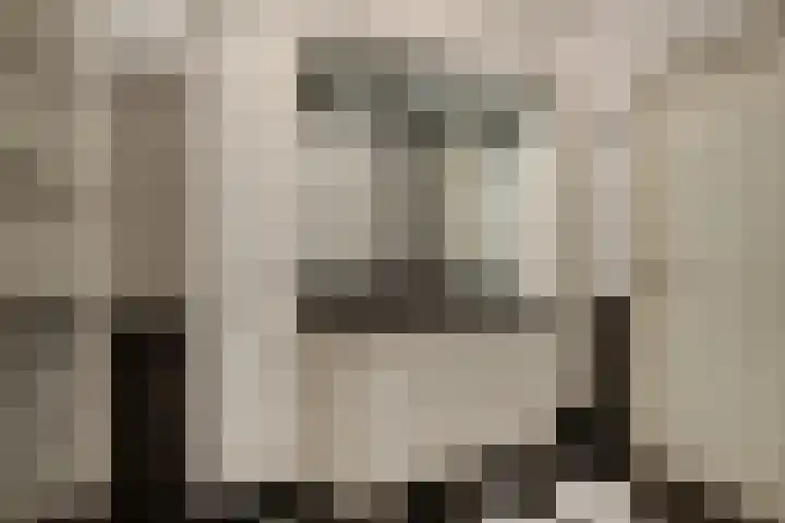Jozefhof 10 Etten-Leur thumbnail 22