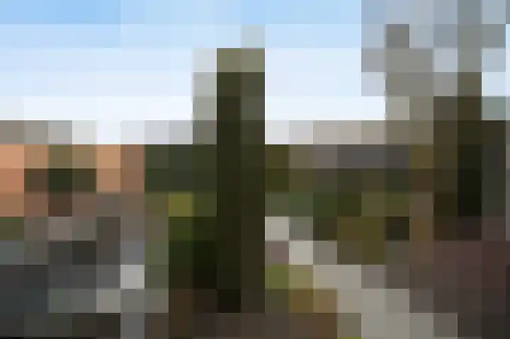 Jozefhof 10 Etten-Leur thumbnail 33