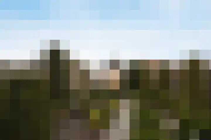 Jozefhof 10 Etten-Leur thumbnail 36