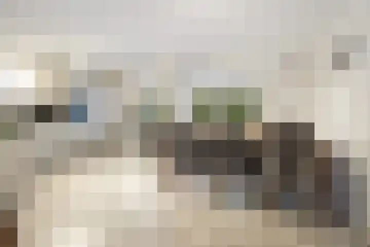 Jozefhof 14 Etten-Leur thumbnail 10