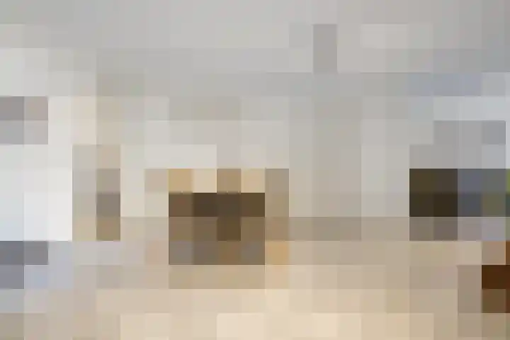 Jozefhof 14 Etten-Leur thumbnail 14