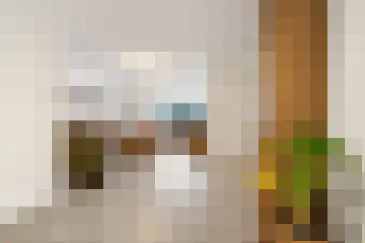 Jozefhof 14 Etten-Leur thumbnail 15