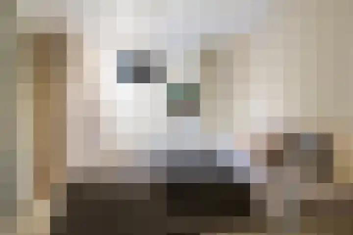 Jozefhof 14 Etten-Leur thumbnail 23