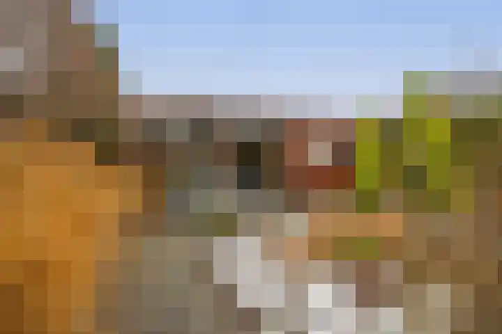 Jozefhof 14 Etten-Leur thumbnail 34