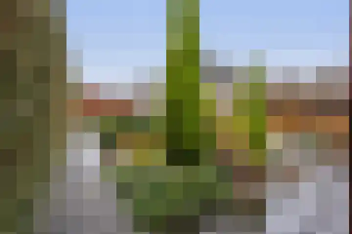 Jozefhof 14 Etten-Leur thumbnail 38