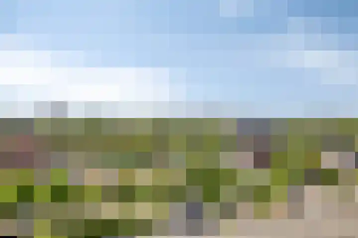 Jozefhof 235 Gouda thumbnail 10