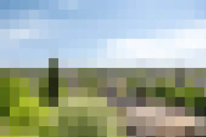 Jozefhof 235 Gouda thumbnail 11