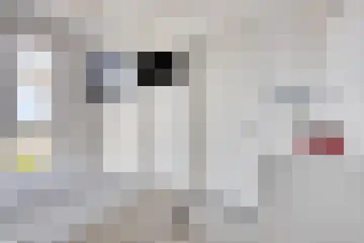 Jozefhof 235 Gouda thumbnail 13
