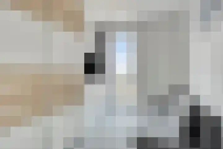 Jozefhof 235 Gouda thumbnail 18