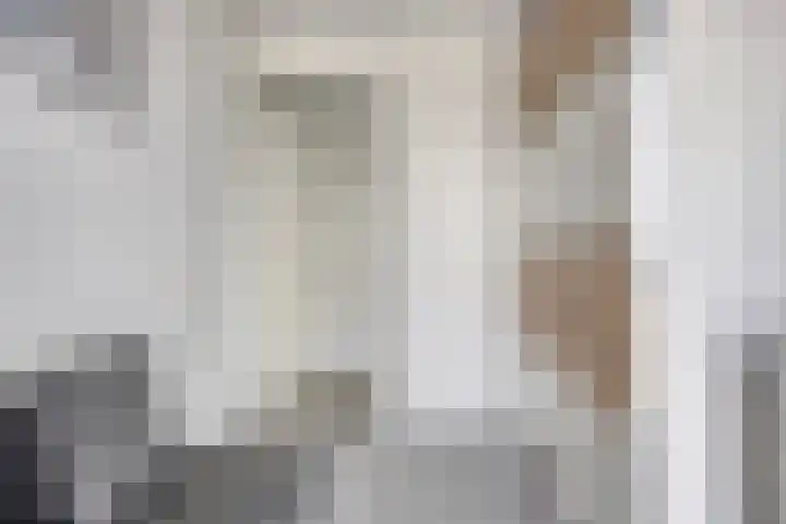 Jozefhof 235 Gouda thumbnail 19