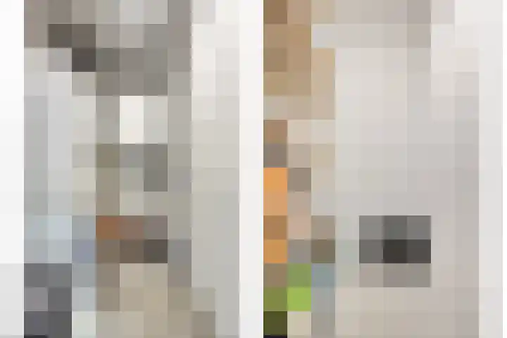 Jozefhof 235 Gouda thumbnail 21