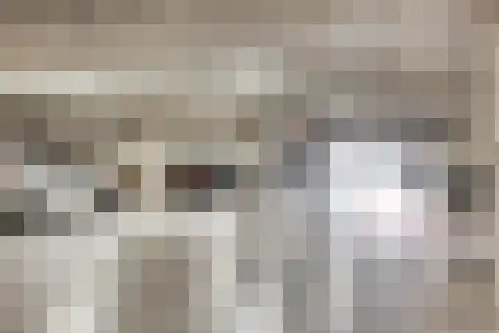 Jozefhof 235 Gouda thumbnail 26