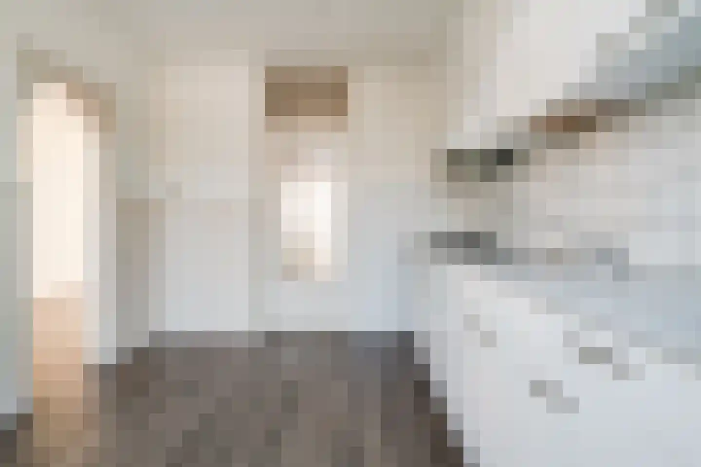 JP Coenstraat 20 Zevenaar thumbnail 26