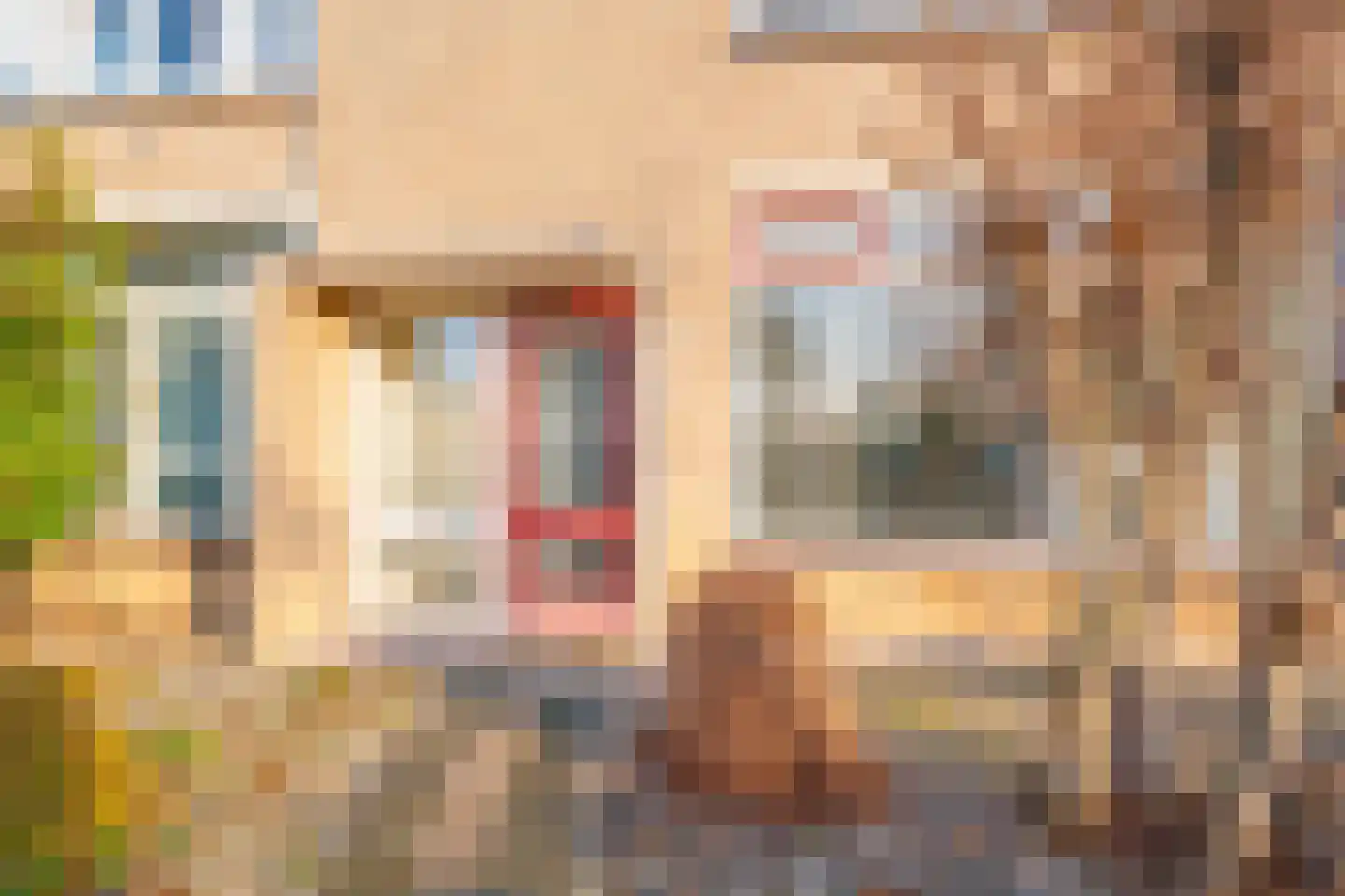 JP Coenstraat 20 Zevenaar thumbnail 8