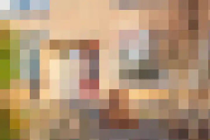 JP Coenstraat 20 Zevenaar thumbnail 8