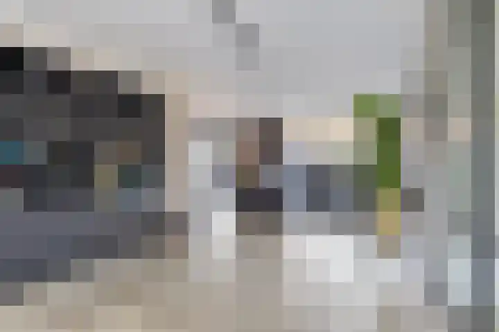Jubelpark 28 Purmerend thumbnail 16