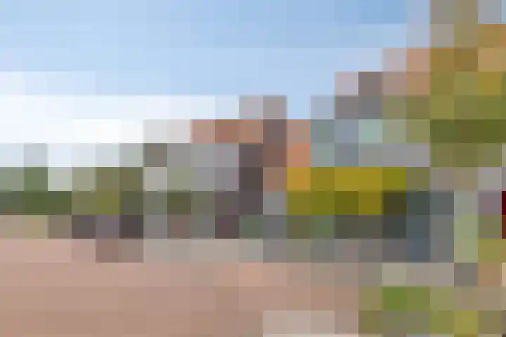Jubelpark 28 Purmerend thumbnail 44
