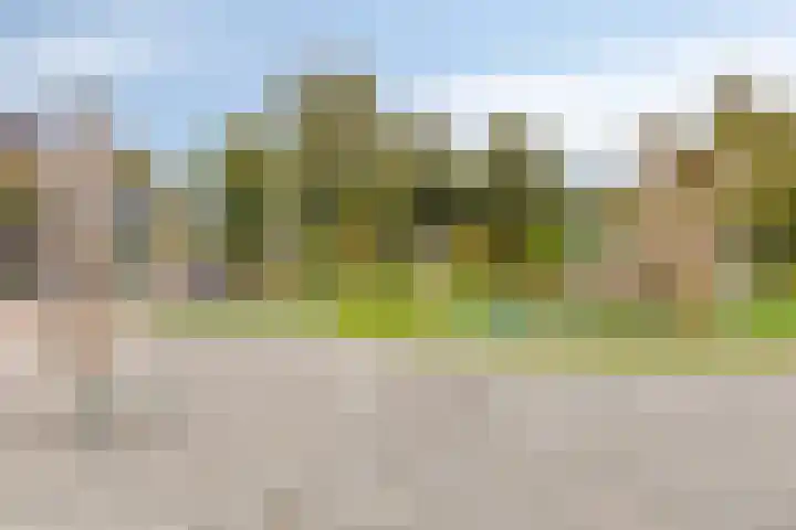 Jubelpark 28 Purmerend thumbnail 46