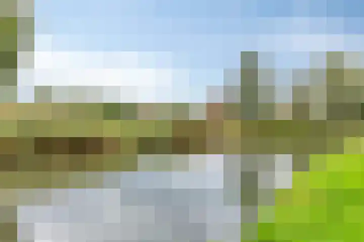Jubelpark 28 Purmerend thumbnail 47